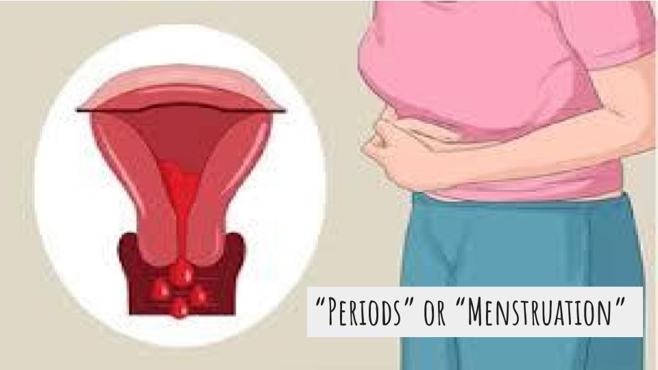 Menstrual Health
